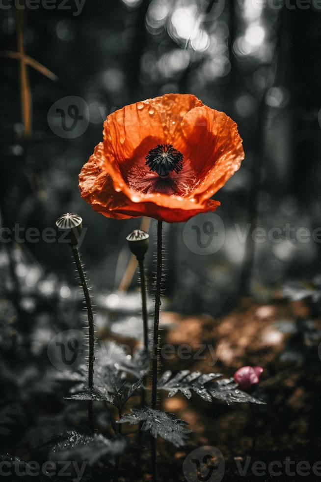 polly fiore nel il selvaggio travolgente fotografia di un' bellissimo e raro fiorire foto