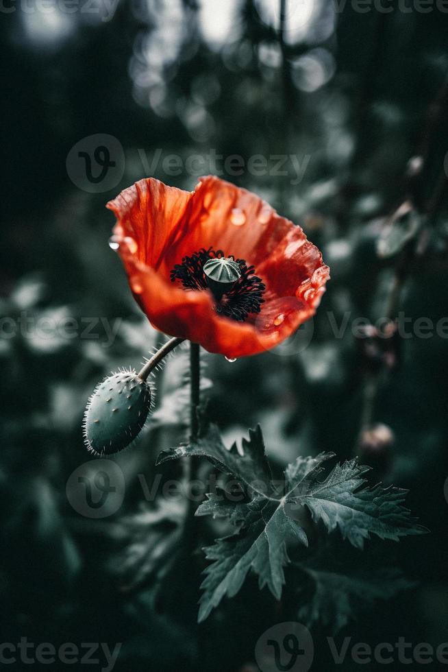 polly fiore nel il selvaggio travolgente fotografia di un' bellissimo e raro fiorire foto