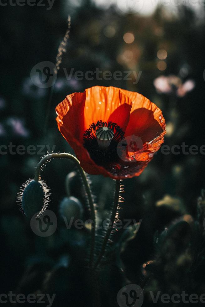 polly fiore nel il selvaggio travolgente fotografia di un' bellissimo e raro fiorire foto