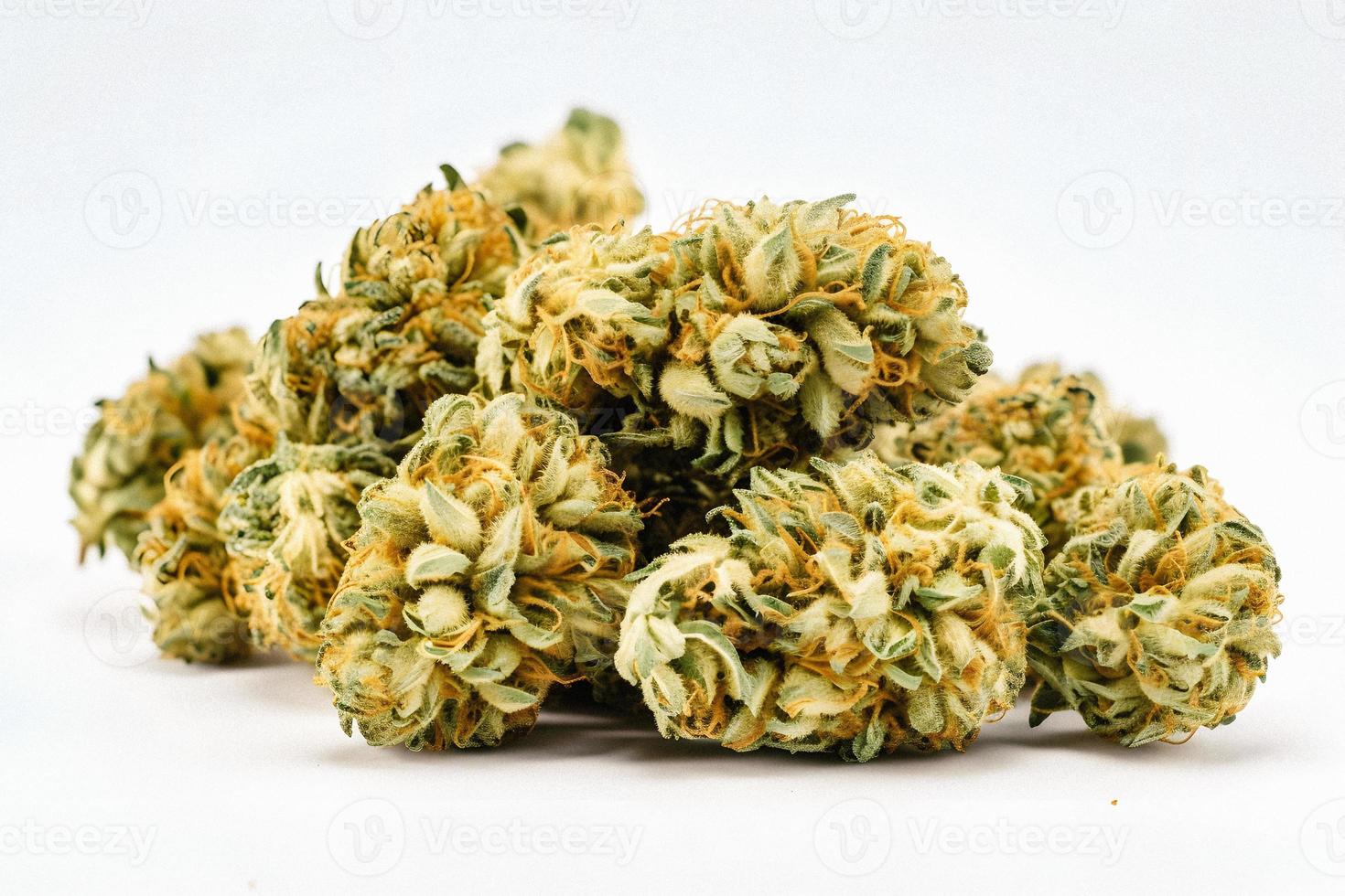 un' alta risoluzione fotografia di un' marijuana sativa germoglio su un' bianca sfondo foto
