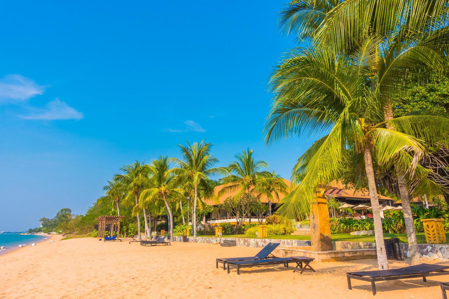 bellissima spiaggia e mare con palme foto