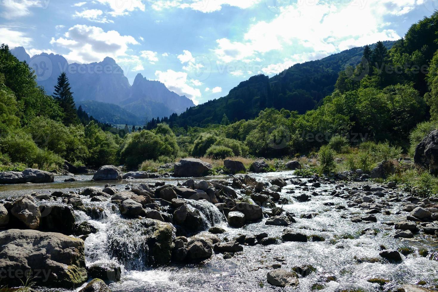 in il natura selvaggia foto