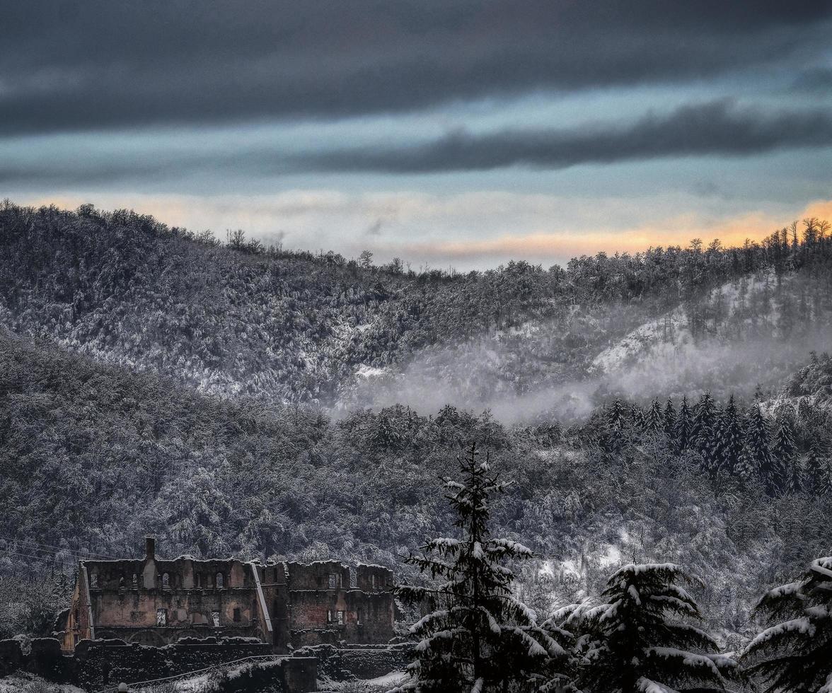 montagne coperto di neve copertura il alberi, durante il inverno di 2023 nel Italia foto