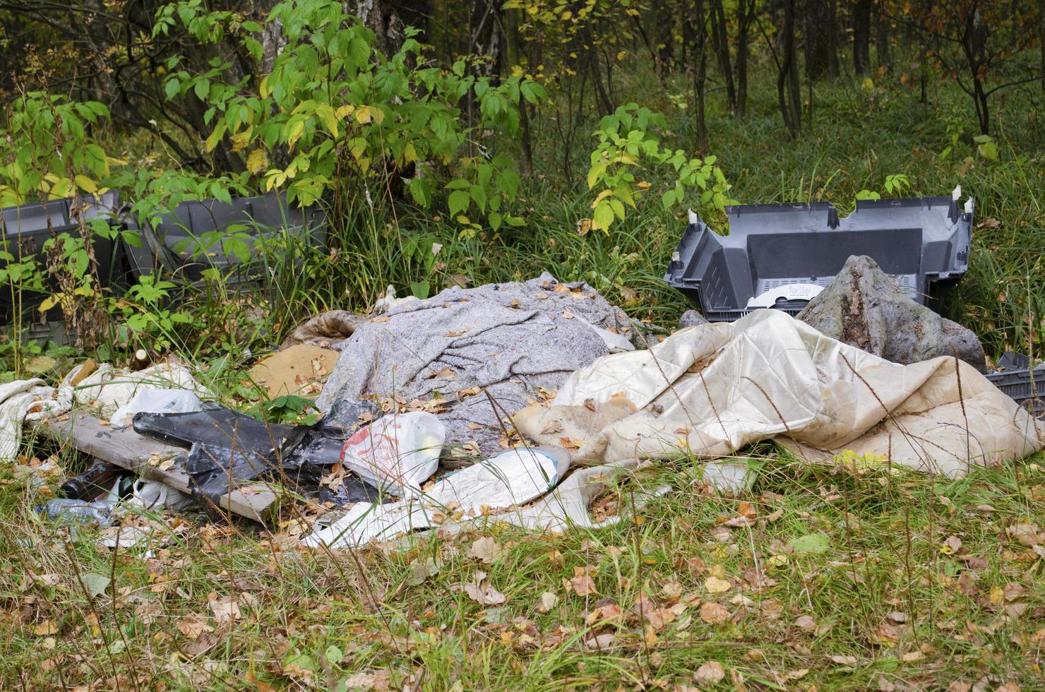 spazzatura nel il foresta. ecologico problema. plastica, bicchiere, lattine. foto