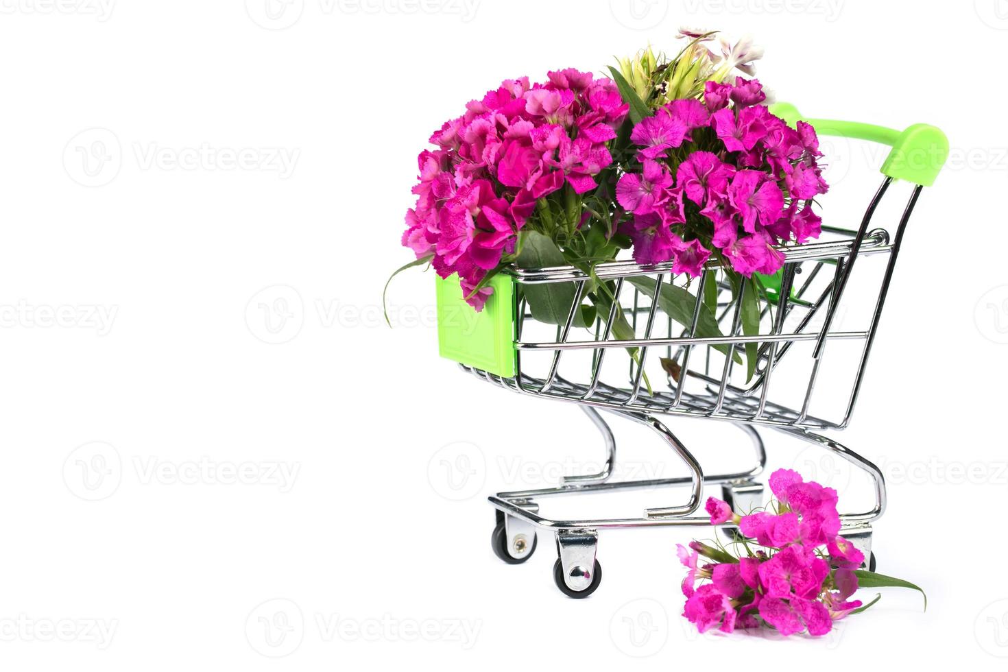 supermercato carrello con fiori su un' bianca sfondo. vendita di fiori. foto