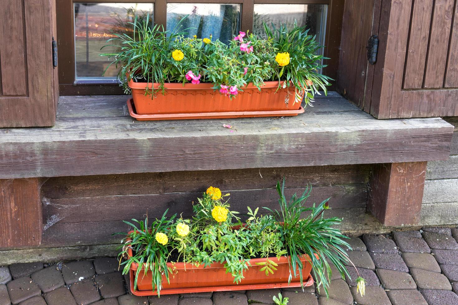 fiori in vaso accanto a una finestra foto