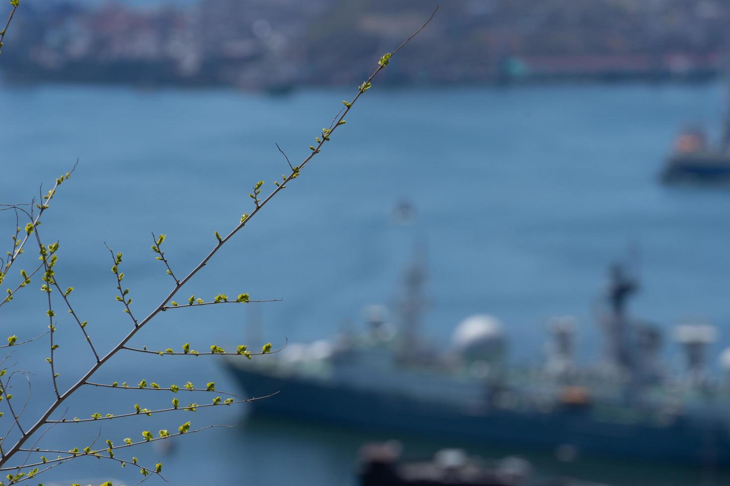 primo piano di rami con foglie verdi e uno sfondo sfocato di un porto e navi foto