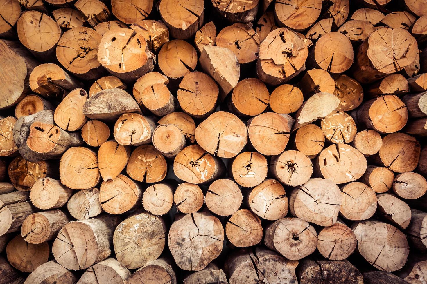 vecchio ceppo di legno e trame di legname foto