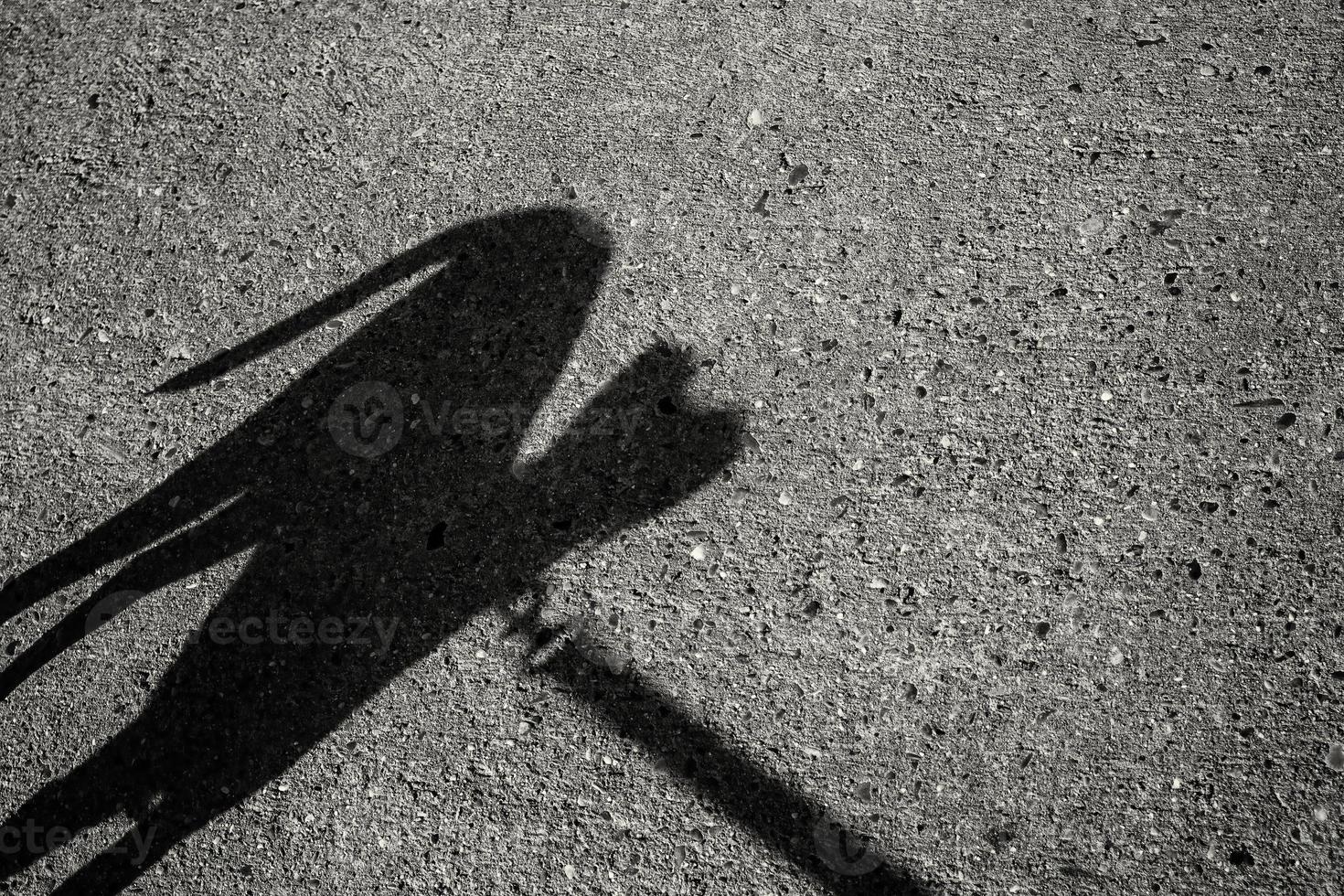 cane ombra su il strada foto