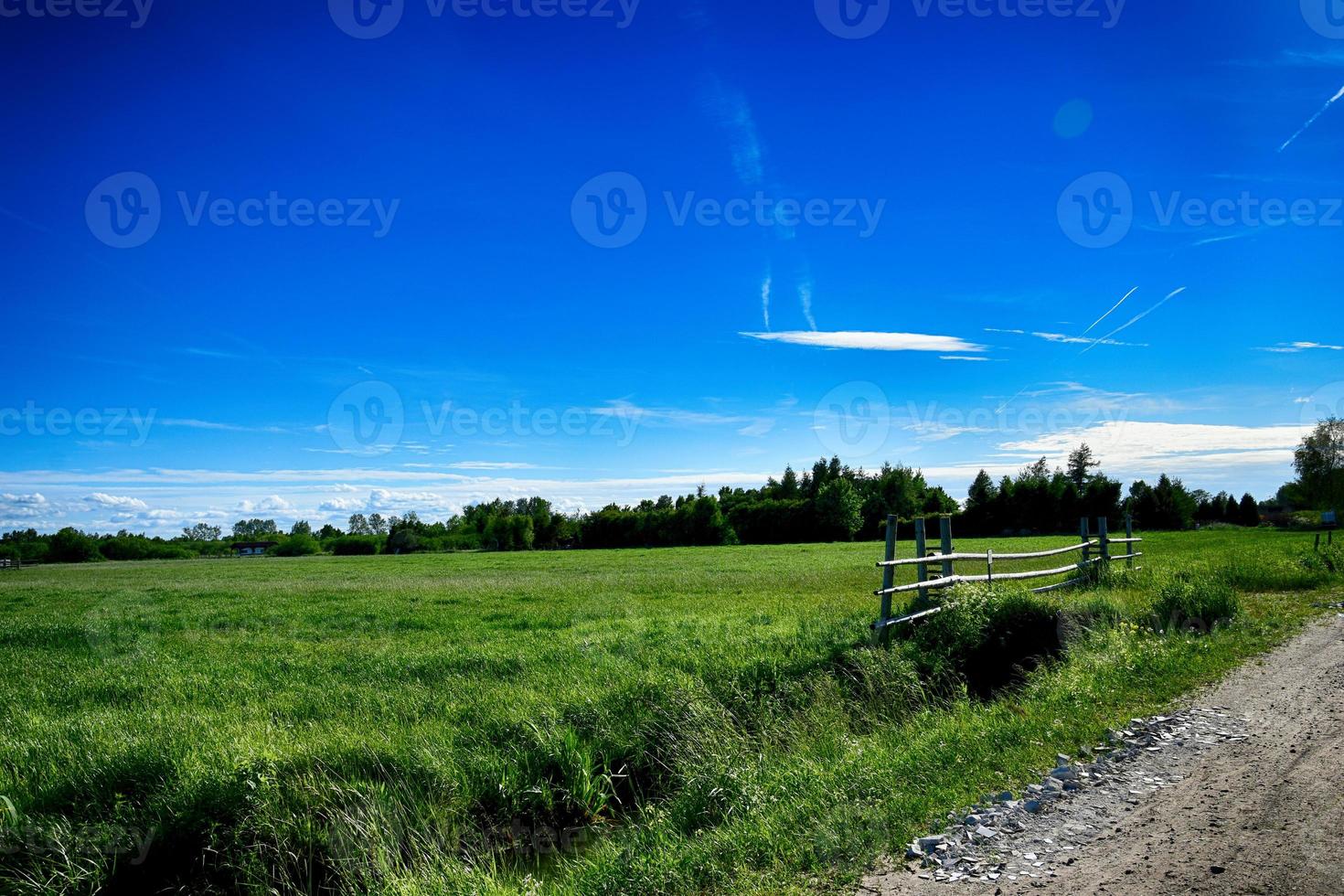 pittoresco primavera paesaggio con blu cielo e verde i campi foto