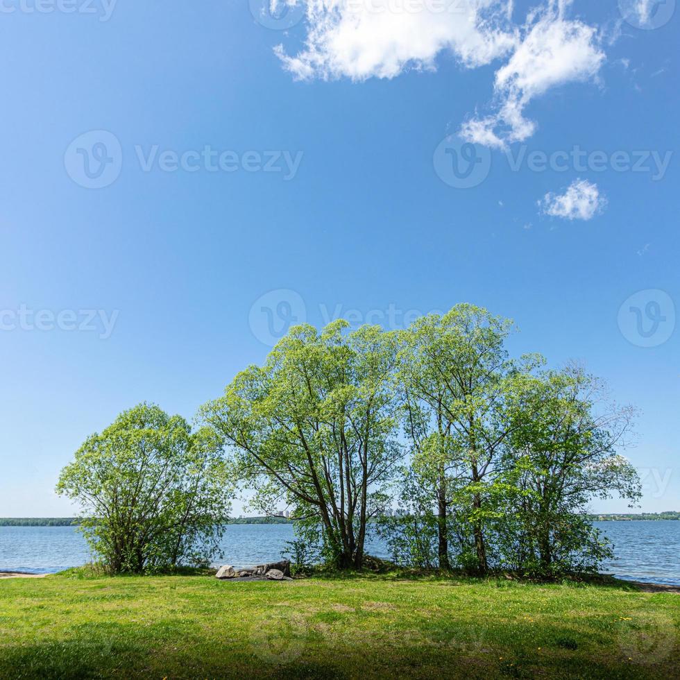 tranquillo estate paesaggio con verde alberi, lago e vivace cielo con bianca nuvole nel soleggiato giorno. foto