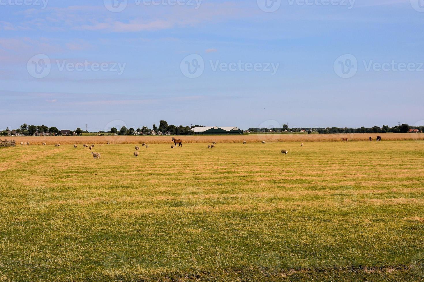 panoramico rurale paesaggio foto