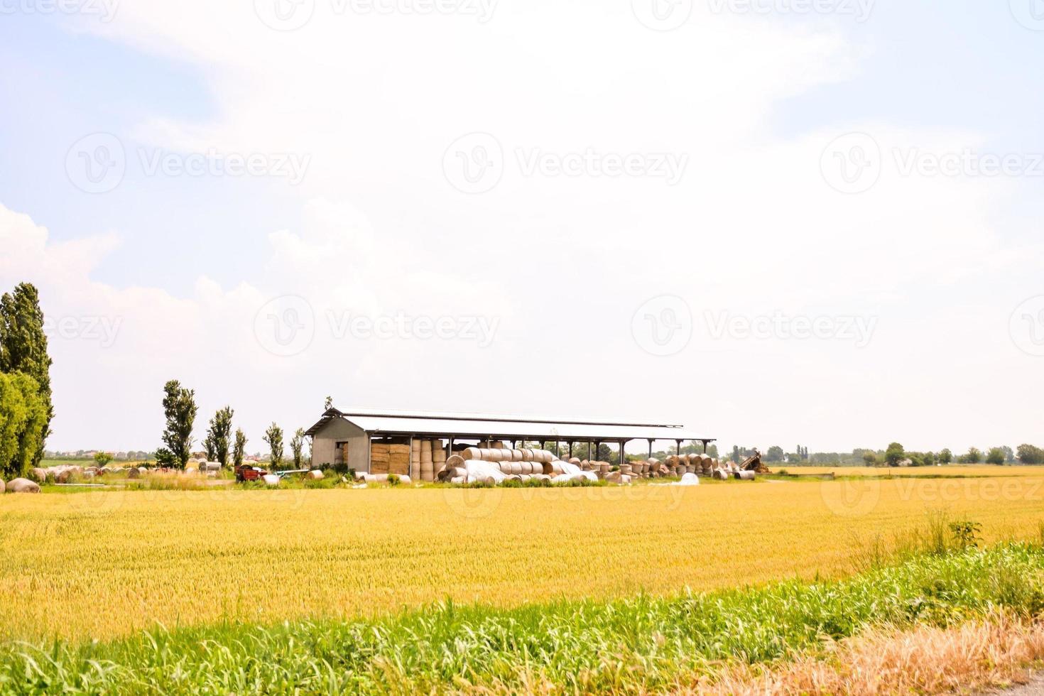 panoramico rurale paesaggio foto