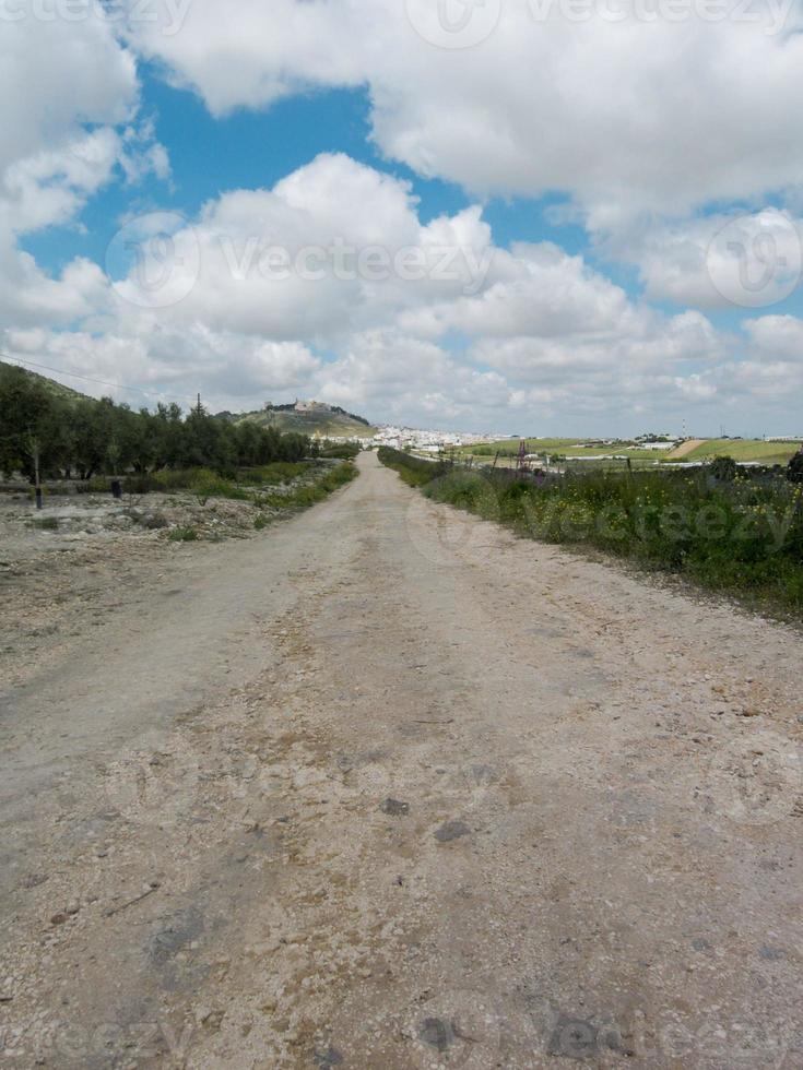 panoramico rurale paesaggio foto