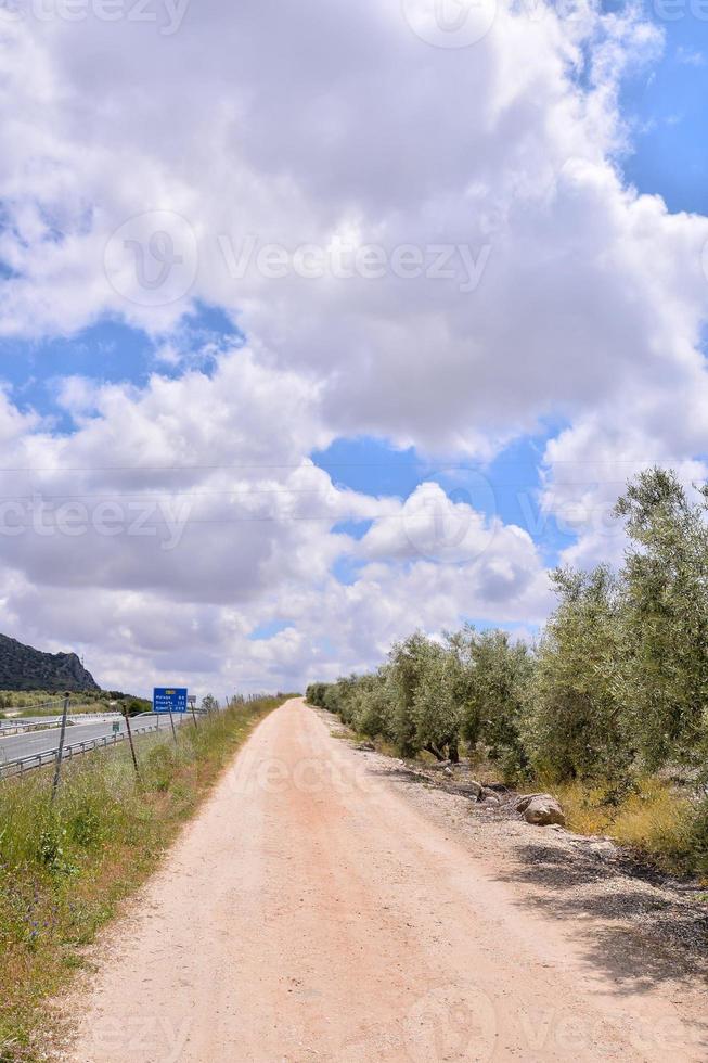 strada in campagna foto