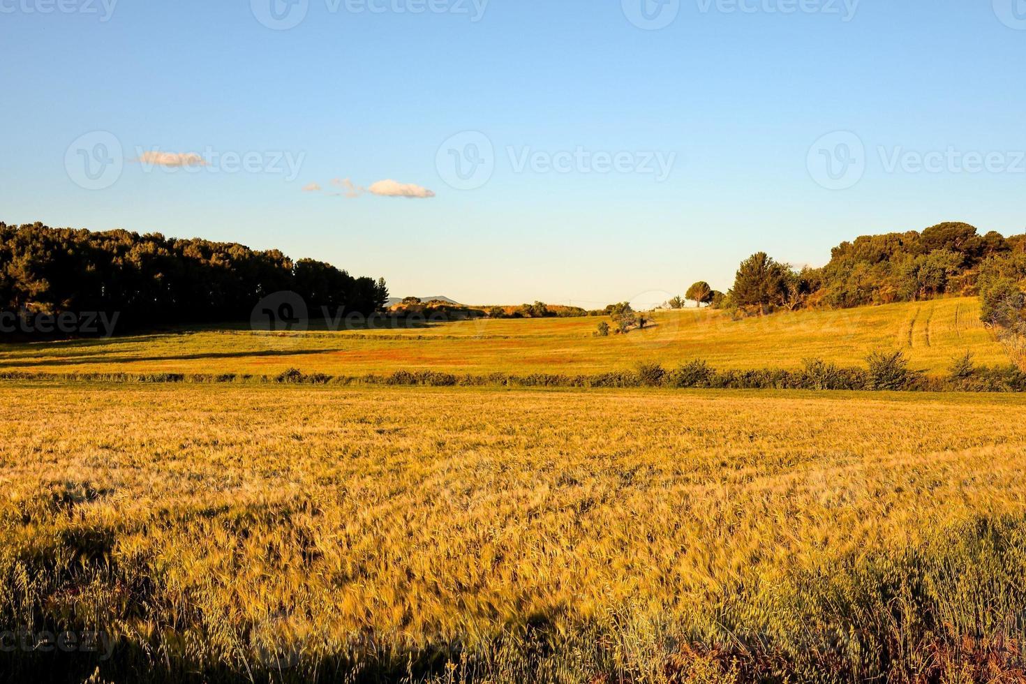 panoramico rurale paesaggio foto