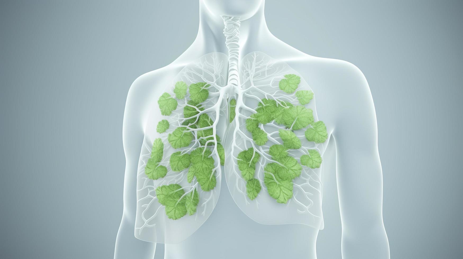 foto Immagine umano polmoni fatto di verde le foglie su il sfondo di maschio corpo fresco respiro polmonite prevenzione fumo moderno design rivista stile copia spazio 3d illustrazione 3d rendering, generat ai