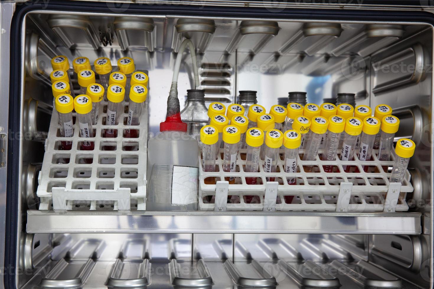 test tubi con sangue campioni nel il incubatrice durante il processi di preparazione per cariotipo e fluorescenza nel situ ibridazione - pesce nel il laboratorio foto