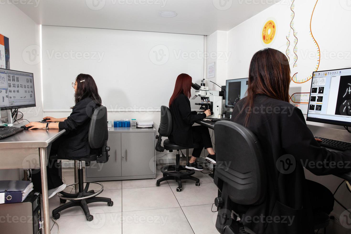 gruppo di giovane femmina scienziati fabbricazione un' cariotipo nel il laboratorio. computer schermi mostrando umano cariotipi. foto