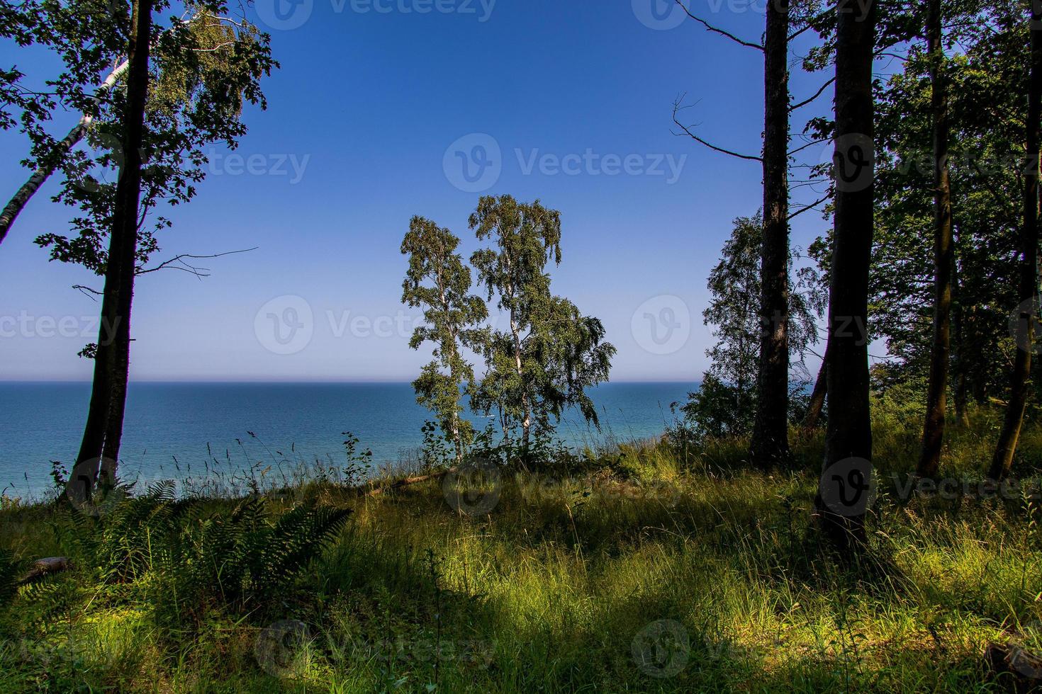 estate paesaggio con mare e scarpata alberi nel jastrzebia gora, Polonia su un' caldo giorno foto