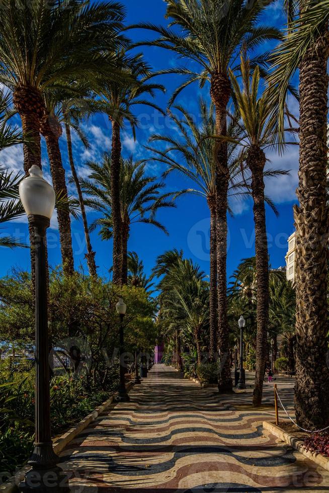 urbano paesaggio di punto di riferimento spiegato alicante Spagna su un' soleggiato giorno con verde palma alberi e blu cielo foto