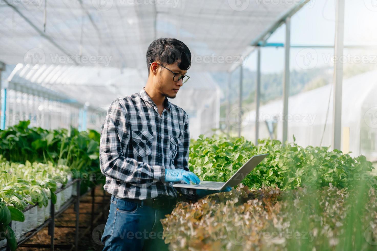 contadino uomo utilizzando mano Tenere il computer portatile e biologico verdure idroponica nel serra piantagione. femmina idroponica insalata verdura giardino proprietario Lavorando. inteligente agricoltura foto