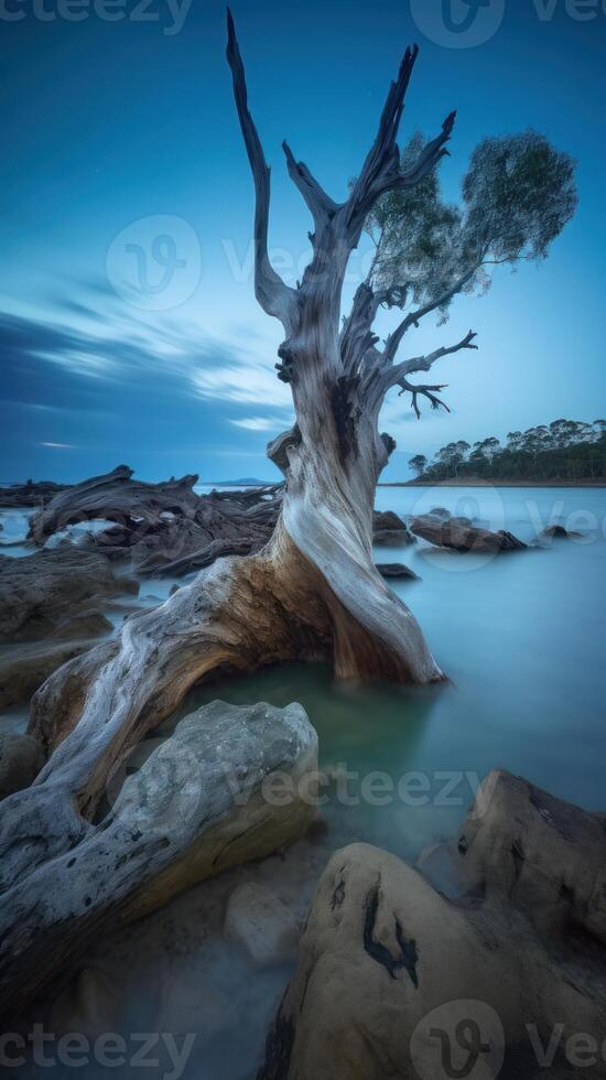 un' asciutto albero nel Australia paesaggio fotografia generativo ai foto