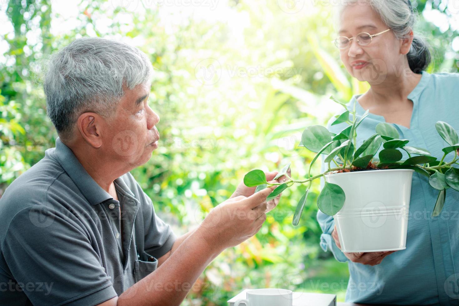 un' contento e sorridente asiatico vecchio anziano donna è piantare per un' passatempo dopo la pensione con sua marito. concetto di un' contento stile di vita e bene Salute per gli anziani. foto