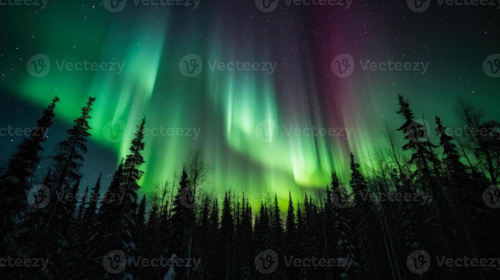 verde aurora Borealis nel settentrionale leggero foreste alberi e cielo paesaggio generativo ai foto
