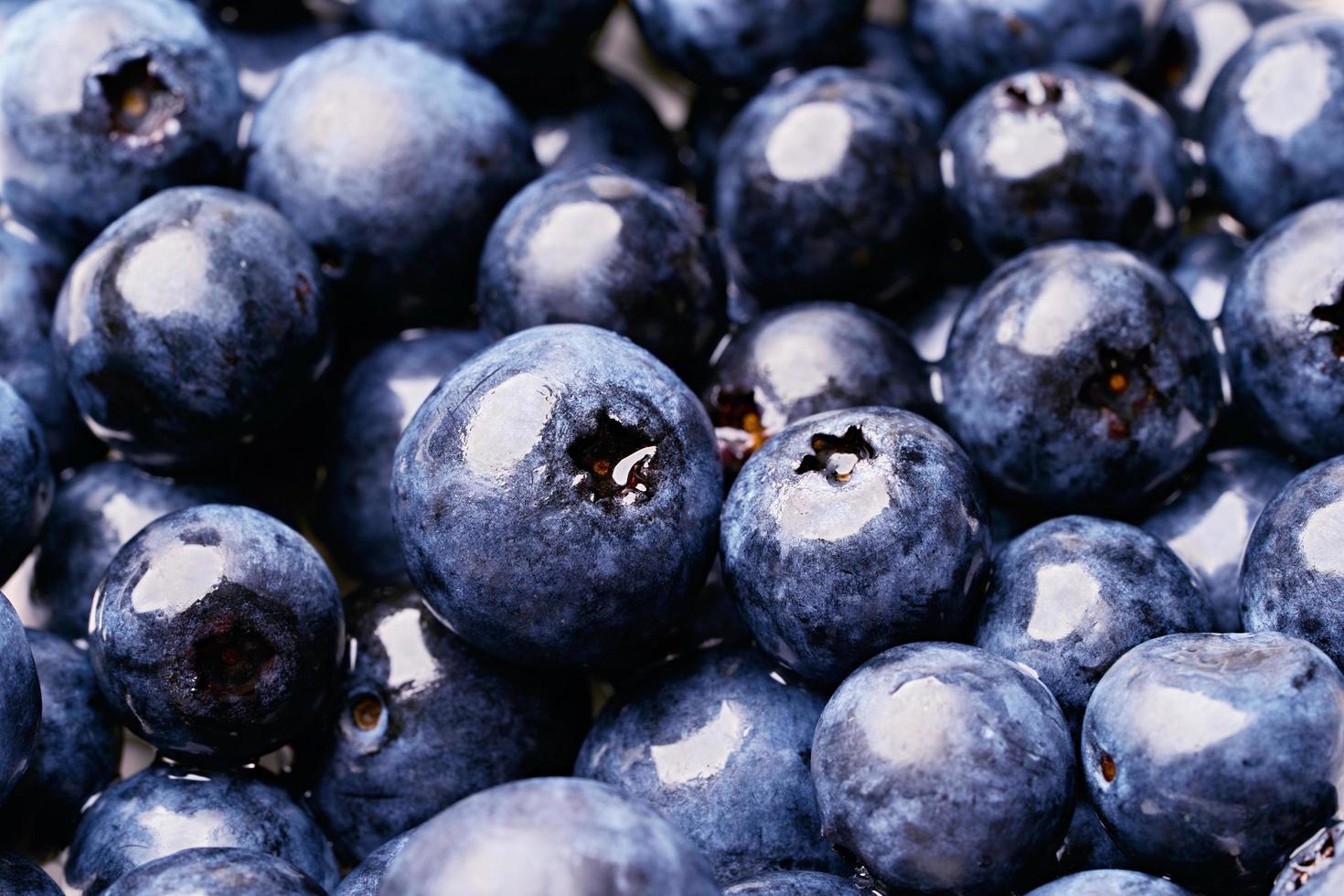 vicino su fresco mirtillo sfondo. blu bacca frutta foto