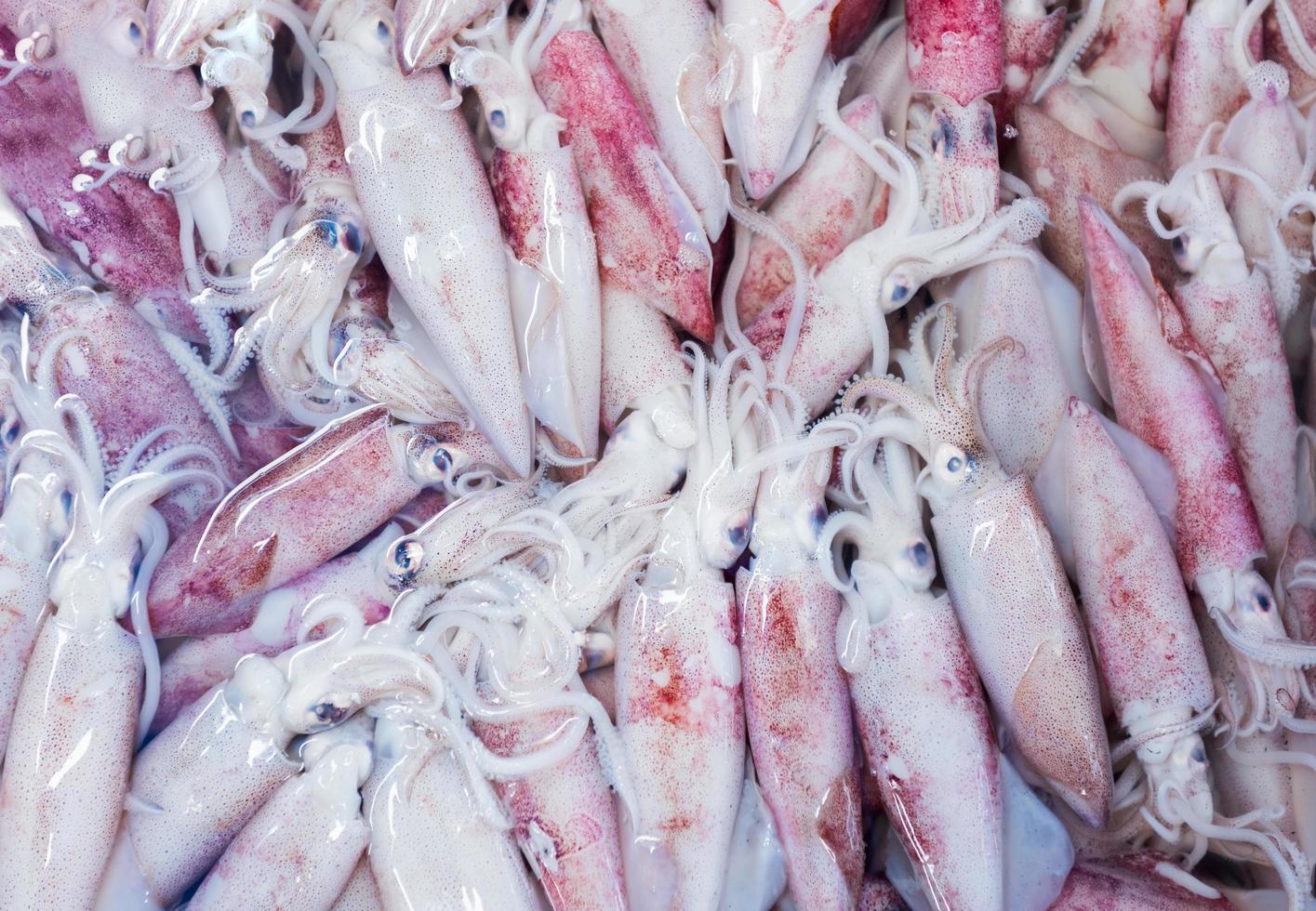 crudo fresco calamaro frutti di mare a il tailandese mercato foto