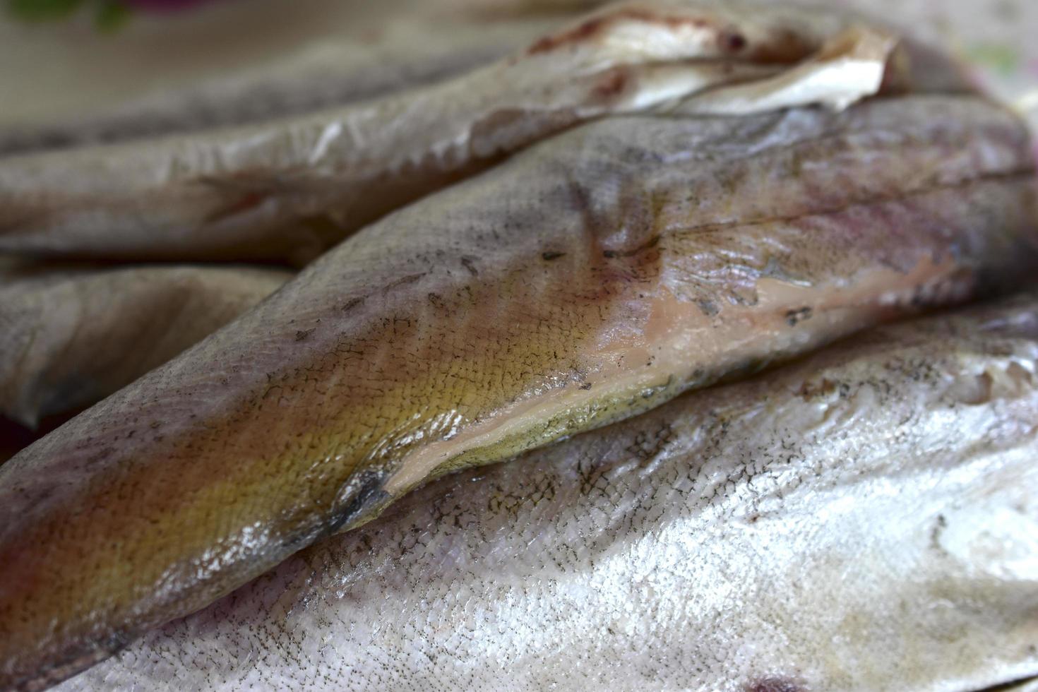 controfiletto di pollock di pesce appena pulito foto