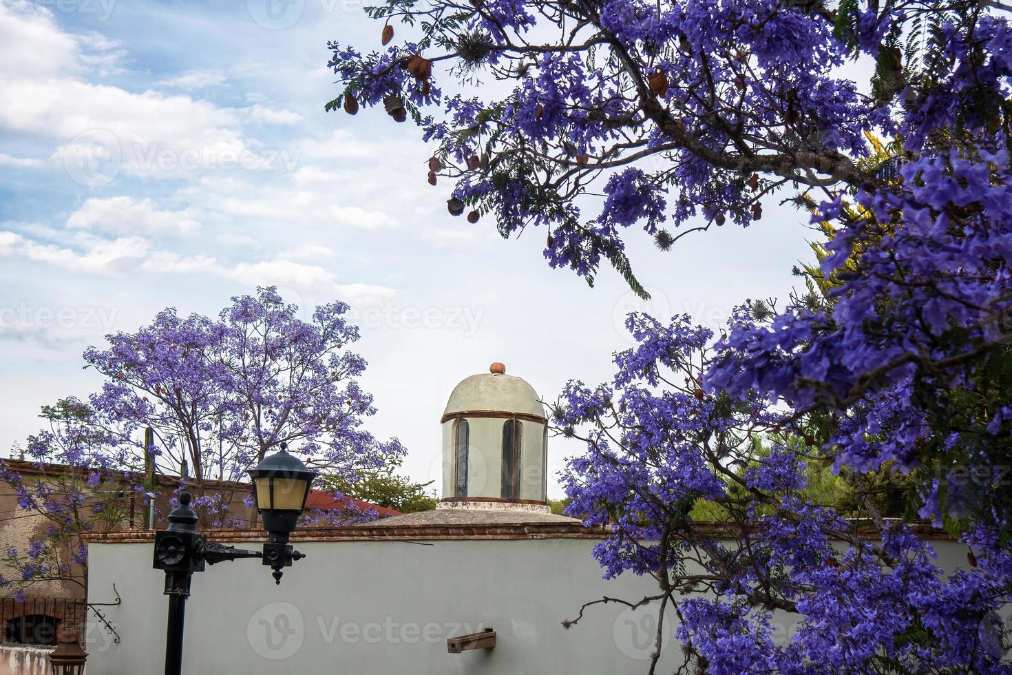 rustico Casa con viola fiori di jacaranda mimosifolia foto