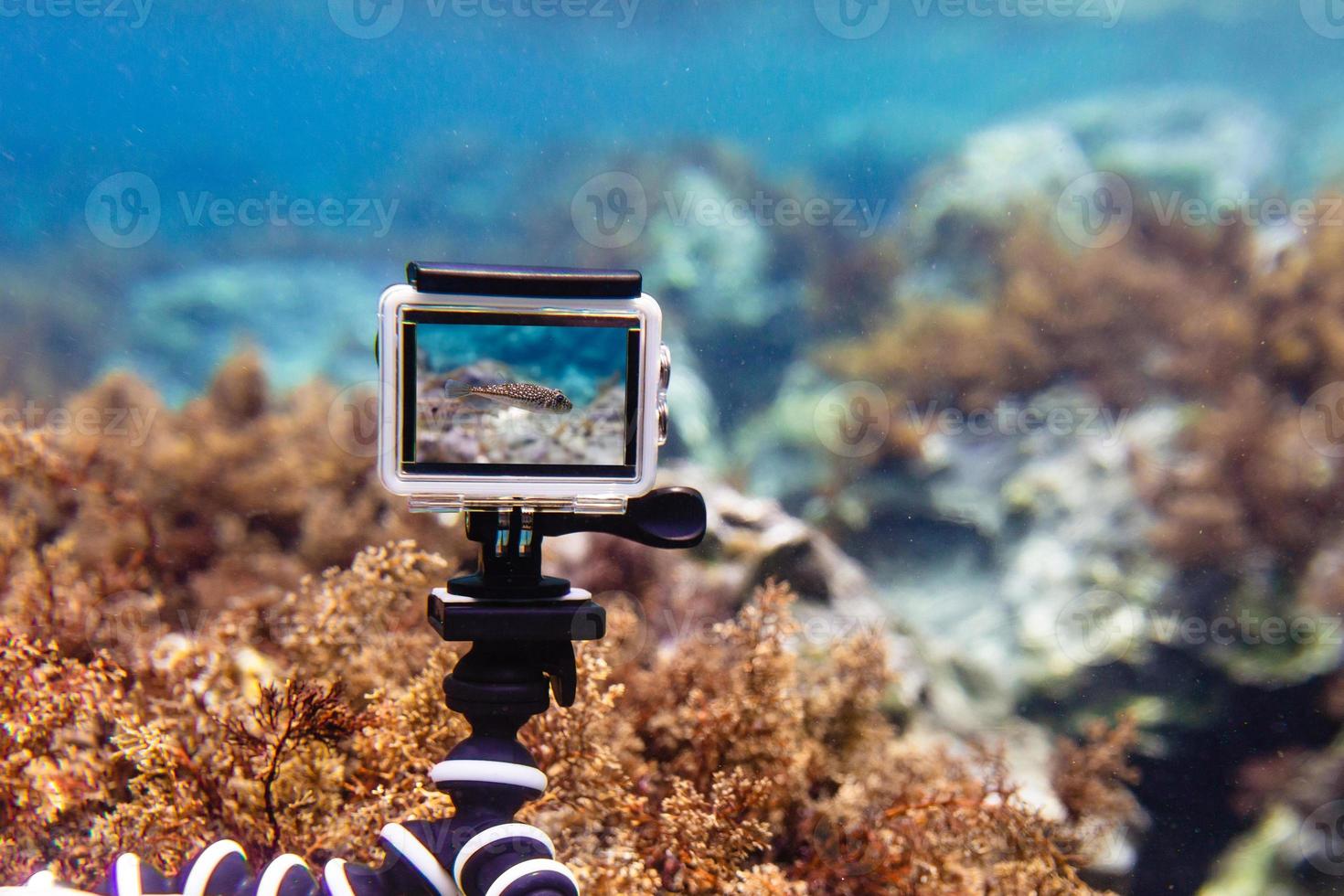 utilizzando action-camera in scatola impermeabile per fare foto e video sott'acqua