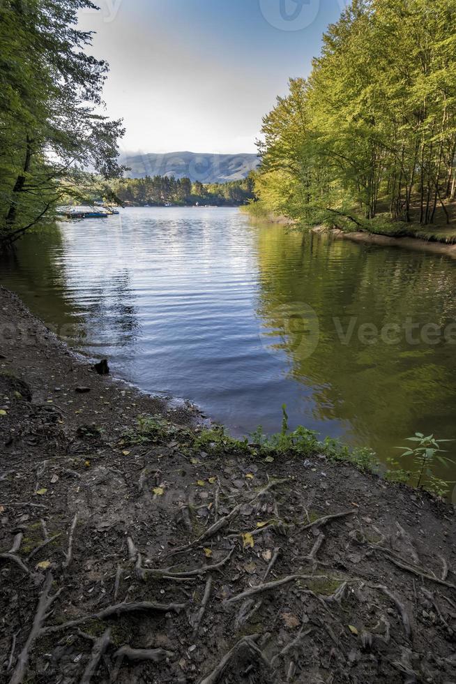 bellissimo calma lago Visualizza con albero, radici, acqua, montagna foto