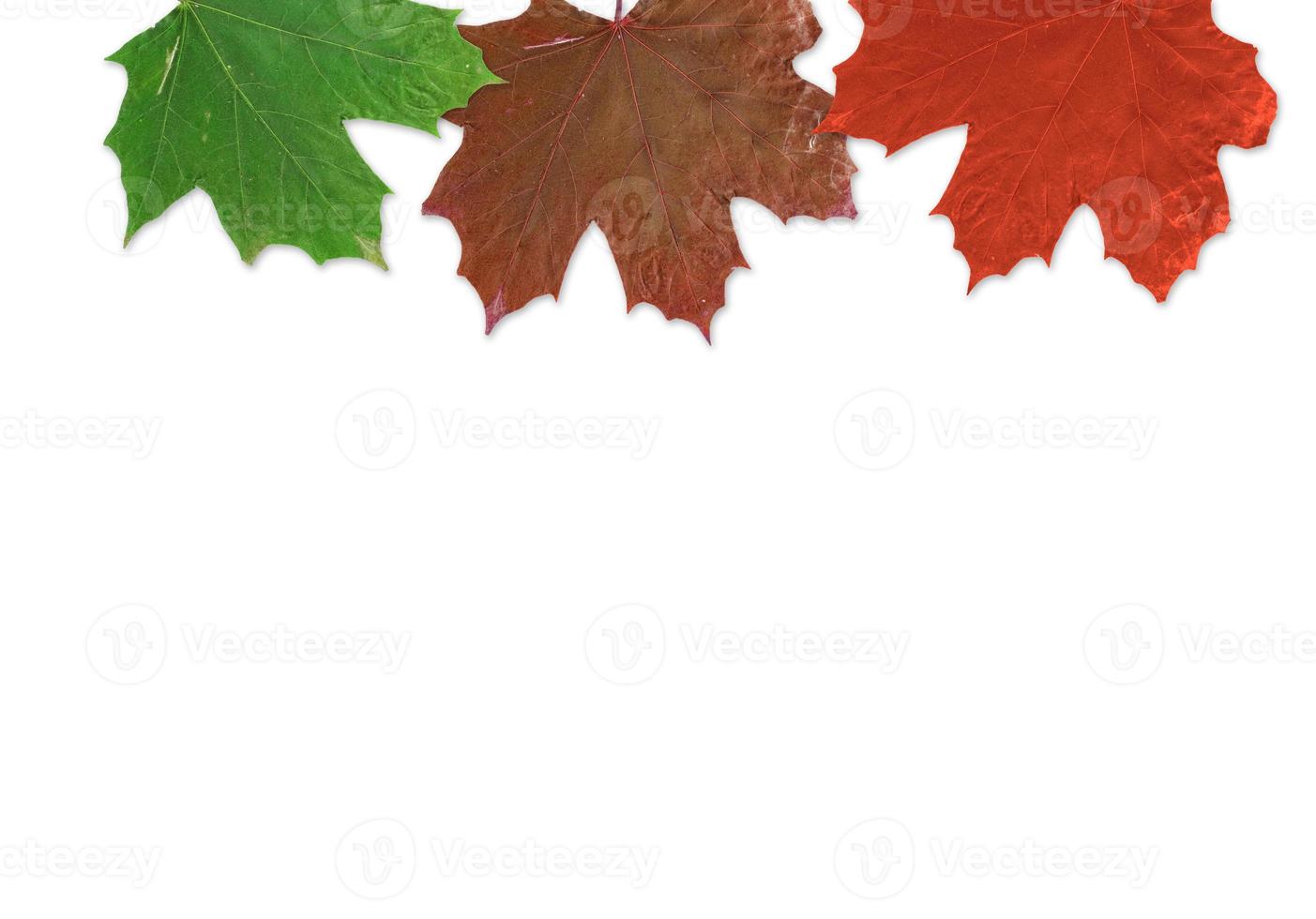 sfondo di foglie autunnali foto