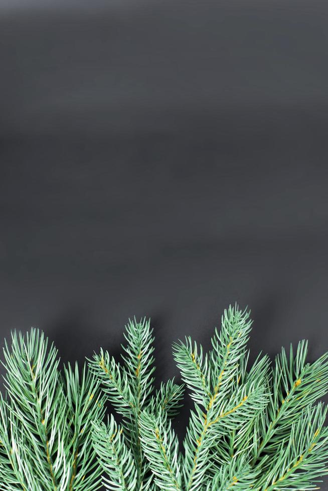 Natale sfondo. verde rami di Natale albero su nero sfondo foto