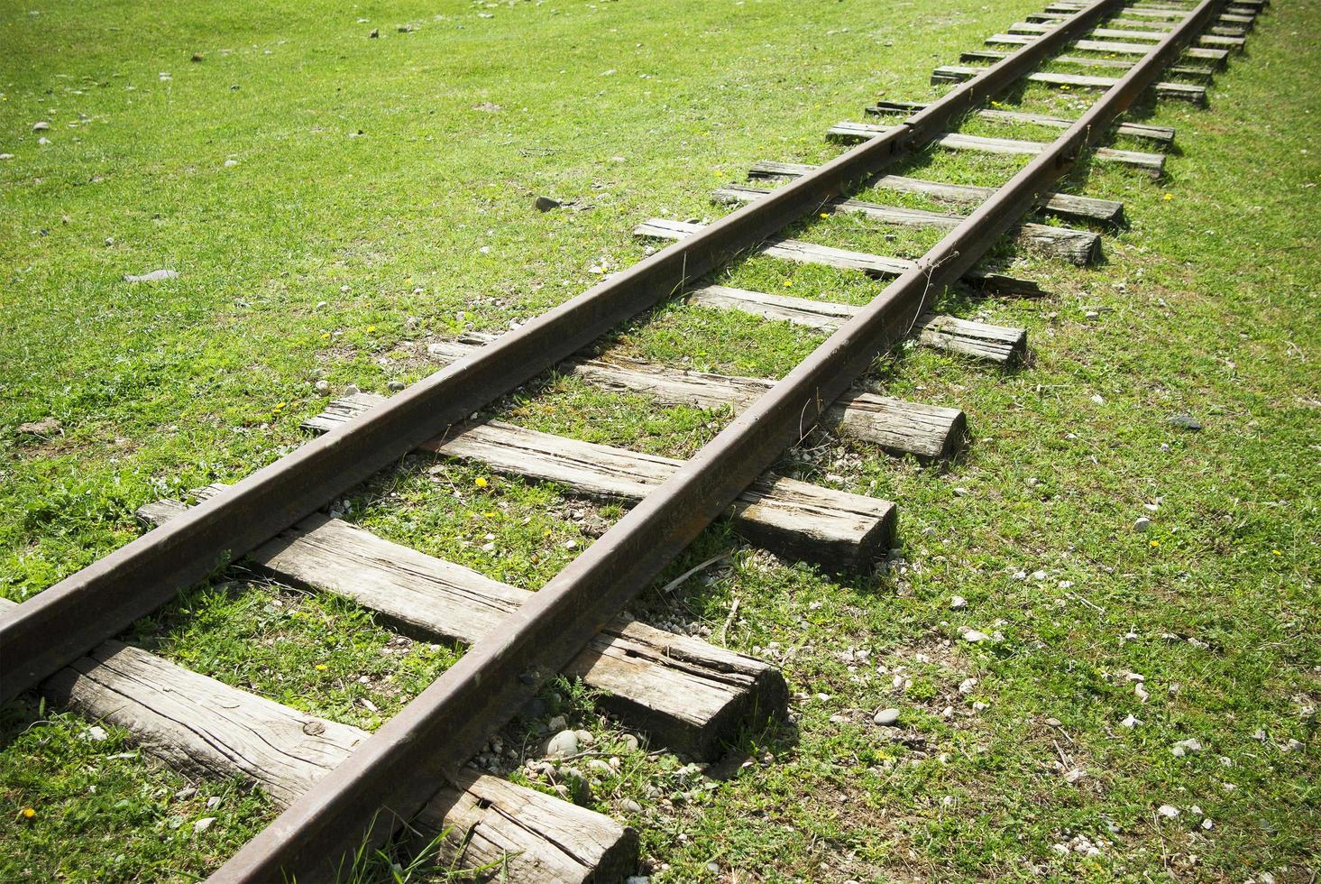 ferrovia del cuculo abbandonata circondata da erba verde. ferrovia del cuculo rotto. foto