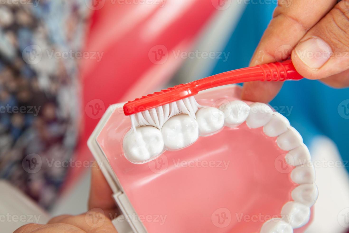 dentista utilizzando un' dentale modello per mostrare il corretta modo per spazzola il tuo denti foto