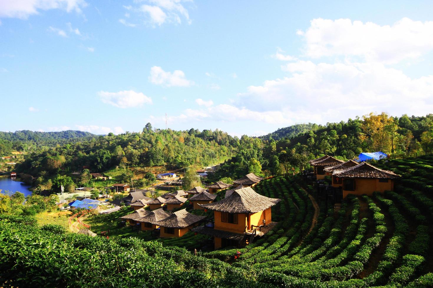 bellissimo paesaggio tè piantagione su il montagna di lee vino ruk tailandese ricorrere, Tailandia foto
