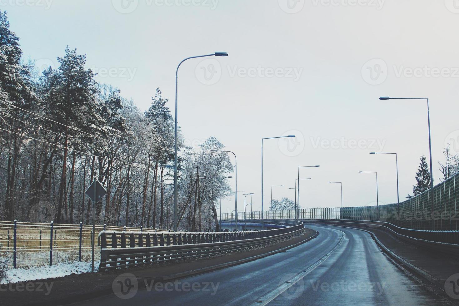 inverno paesaggio con fresco neve e alberi foto