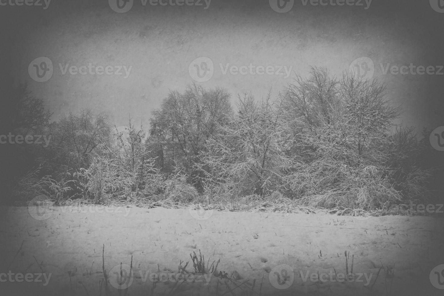 triste, vuoto, solitario, mattina, con il strada e neve a il inizio di inverno foto