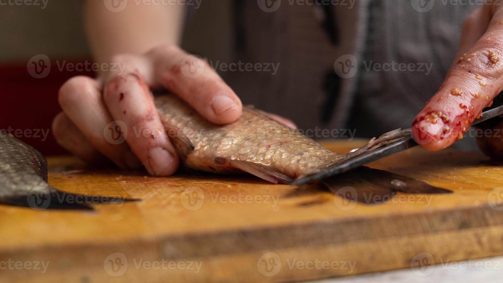 pulire e tagliare il pesce fresco con un coltello closeup foto