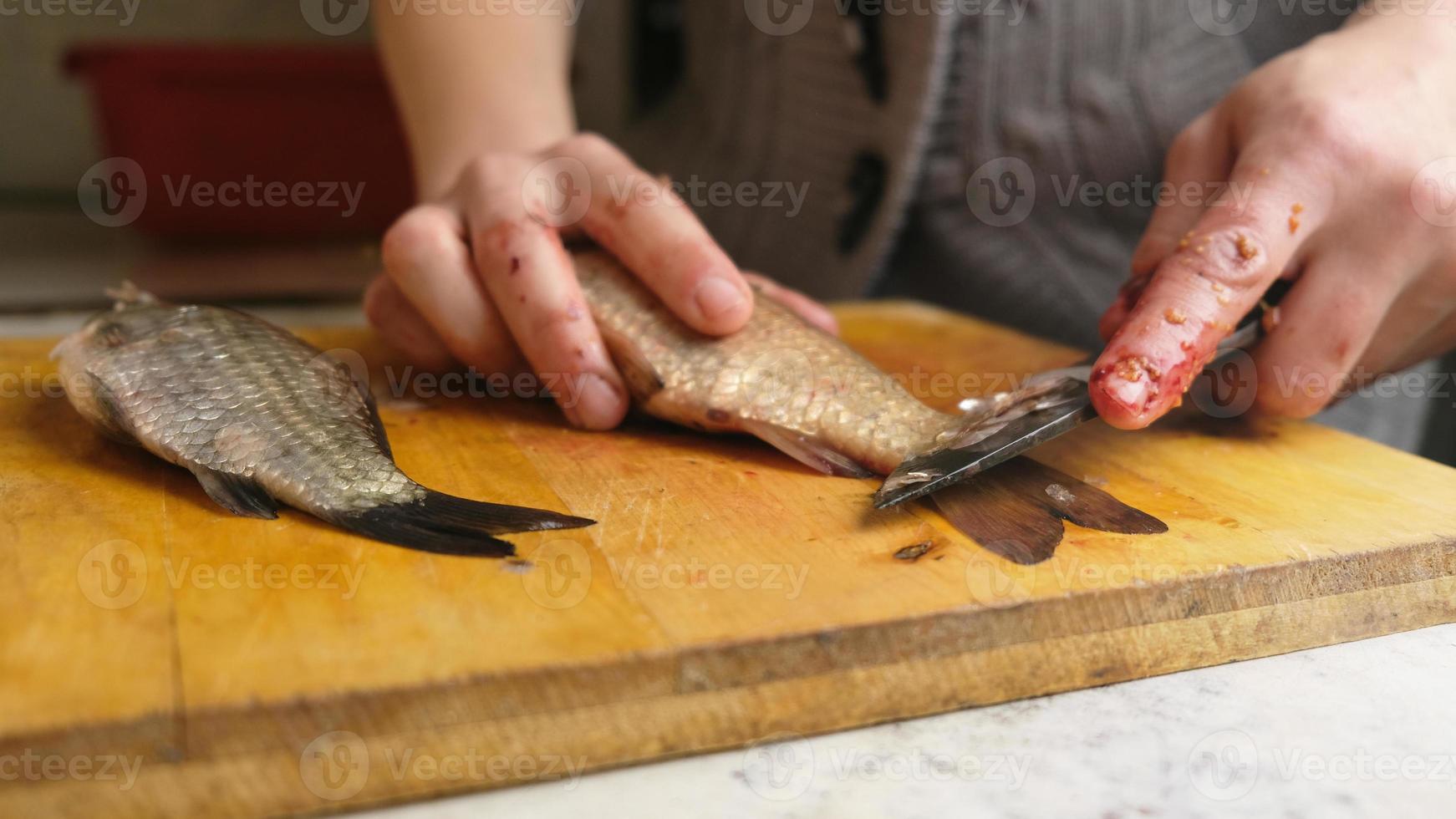 pulizia dei pesci d'acqua dolce, macellazione delle carpe con un coltello. foto