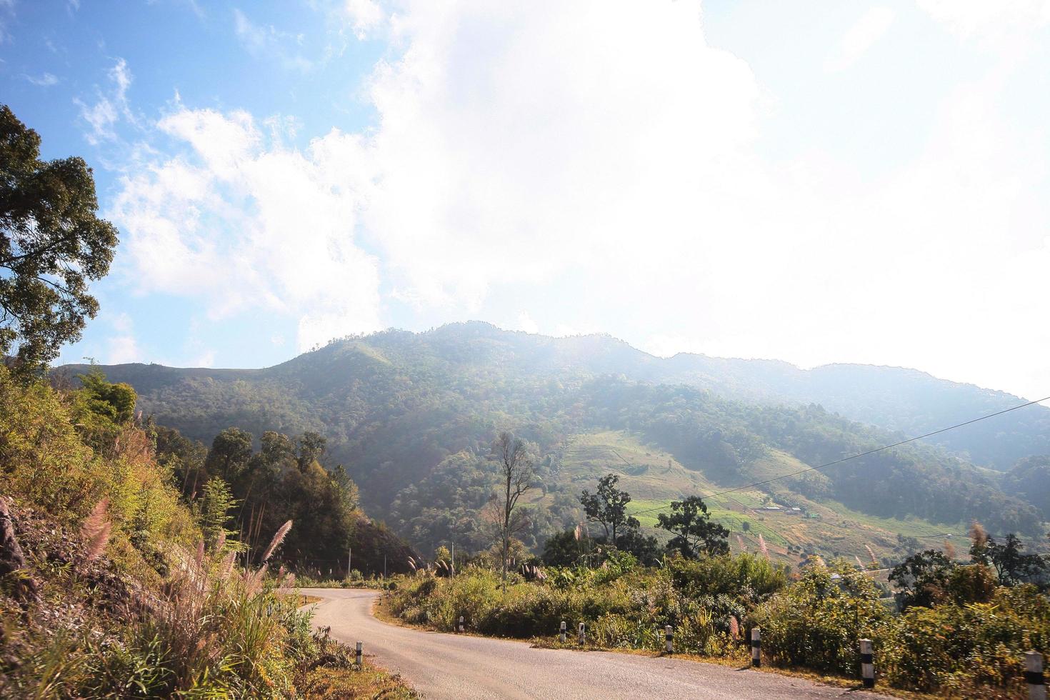 giallo cartello etichetta avvertimento di curva strada su il montagna nel Tailandia foto