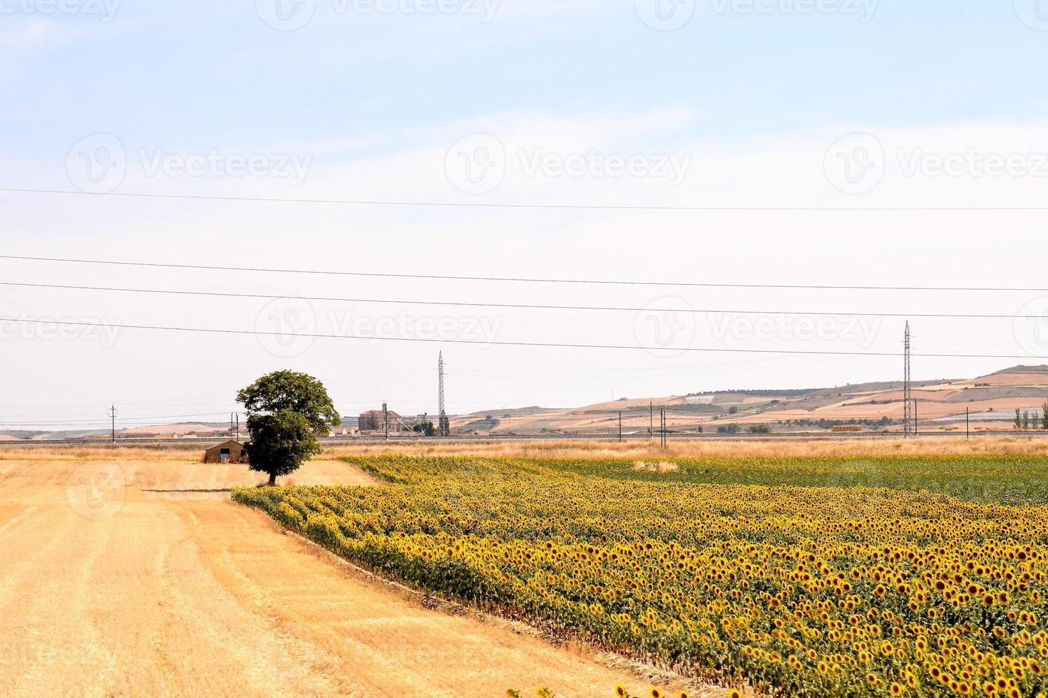 panoramico rurale paesaggio foto