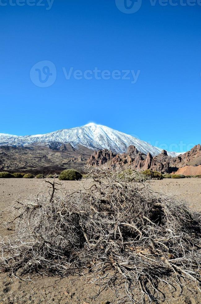 un' panoramico montagna Visualizza foto