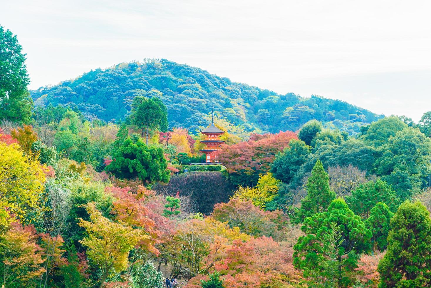 tempio di kiyomizu dera a kyoto, giappone foto