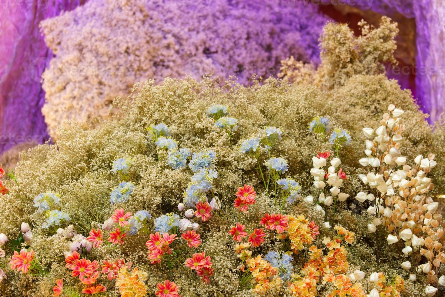 defocus colorato decorazione giardino fiore con molti genere pannocchia sfondo foto