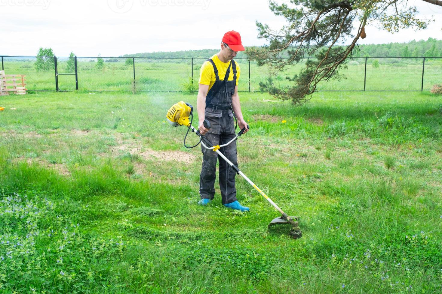 un' maschio giardiniere falcia il verde erba di il prato nel il Giardino dietro la casa con un' benzina tosaerba. trimmer per il cura di un' giardino tracciare foto